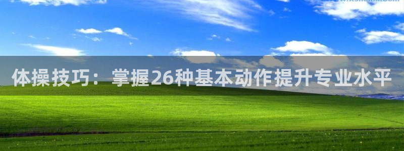J9官方正版app官网:体操技巧:掌握26种基本动作提升专业