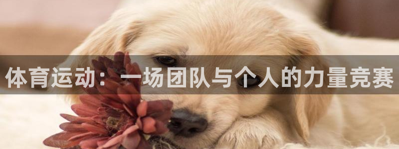 J9官网下载招商电话地址是多少:体育运动:一场团队与个人的力