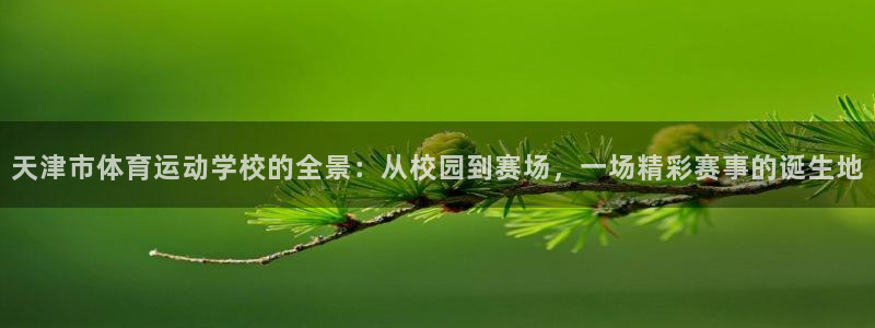 J9官网下载平台是正规平台吗安全吗:天津市体育运动学校的全景